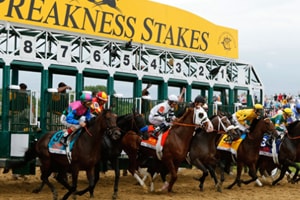 the-preakness-stakes